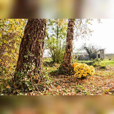 Agriturismo Magnarosa 팜스테이